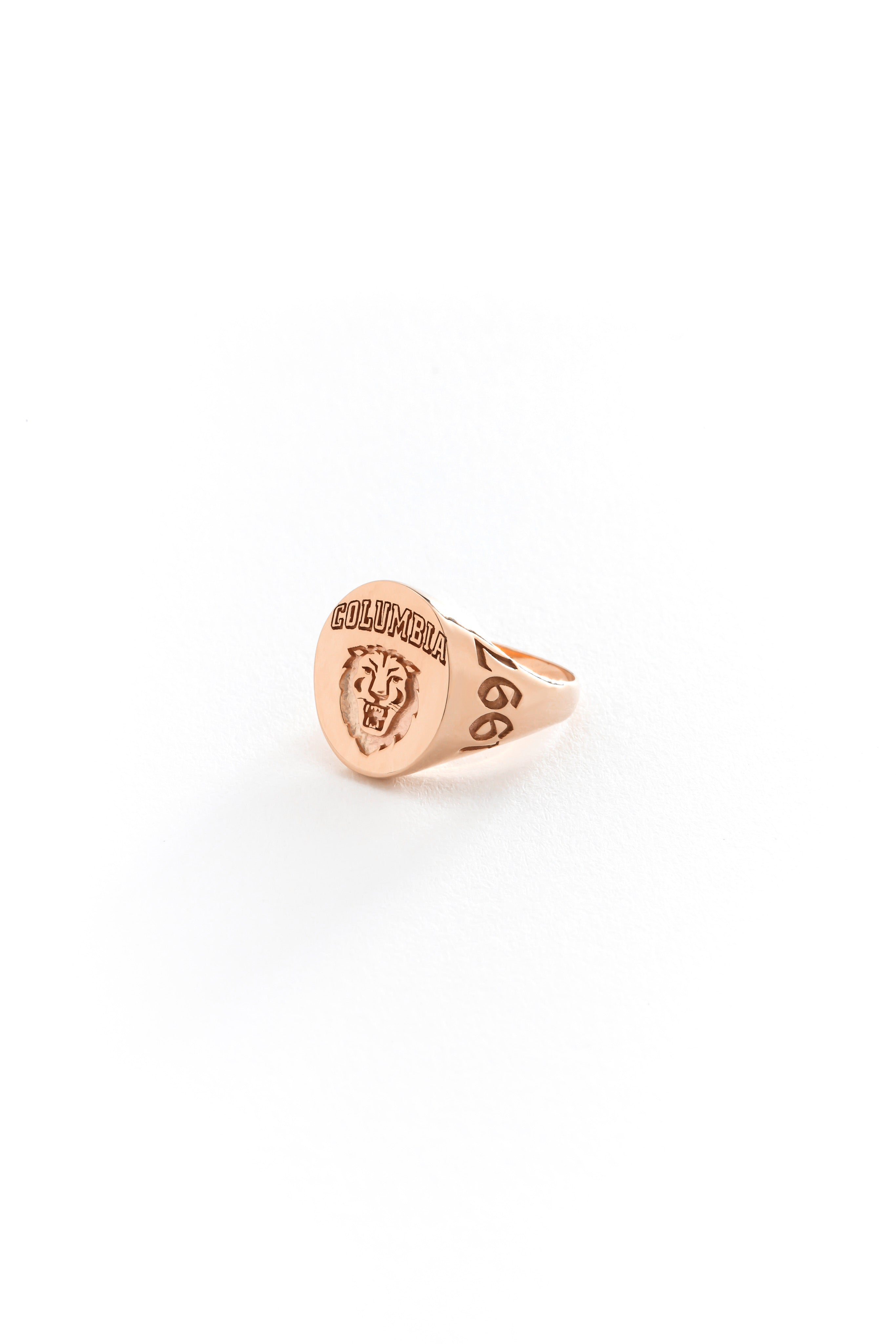 14k Gold 3D Signet Ring